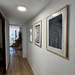 Front Views To El Pilar Comotucasa Saragoça